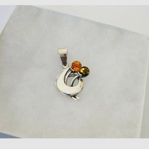 Amber pendant for a necklace in a sterling silver setting. Unique and artistic!